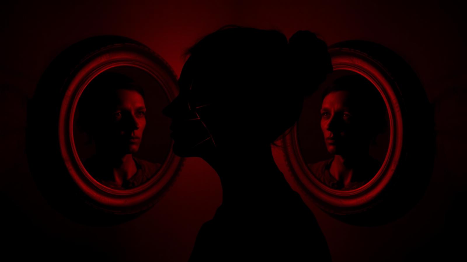 Silhouette of a head with fractured mirror reflections showing distorted faces.